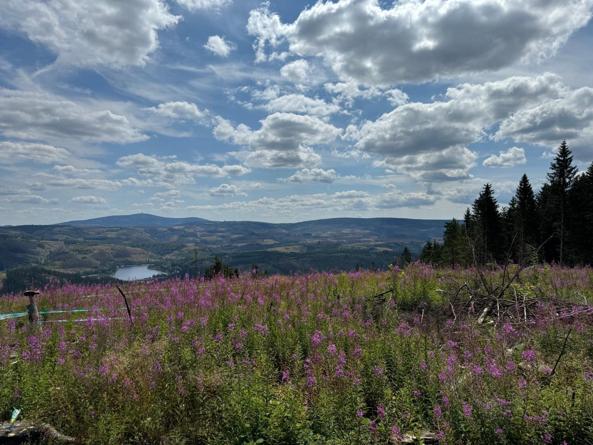 Bergmannsruh Clausthal-Zellerfeld